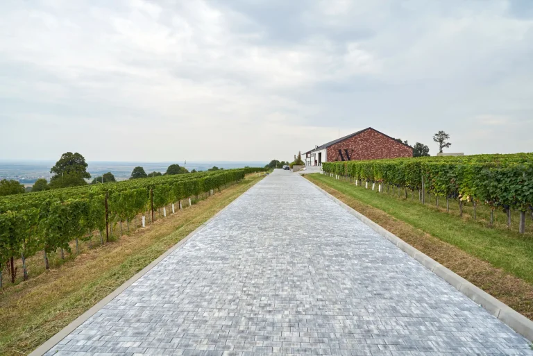Matalj Vinarija 9 foto081